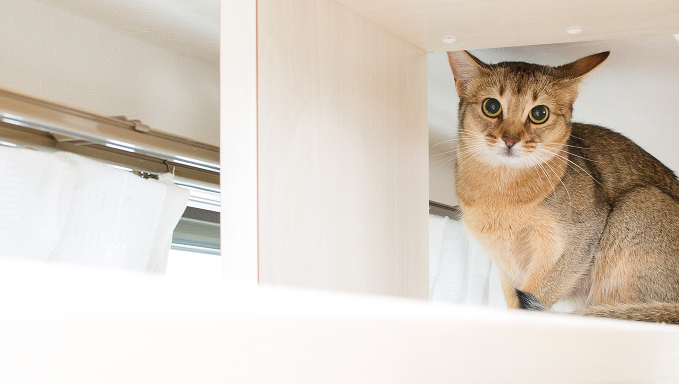 ペット共生住宅管理士検定