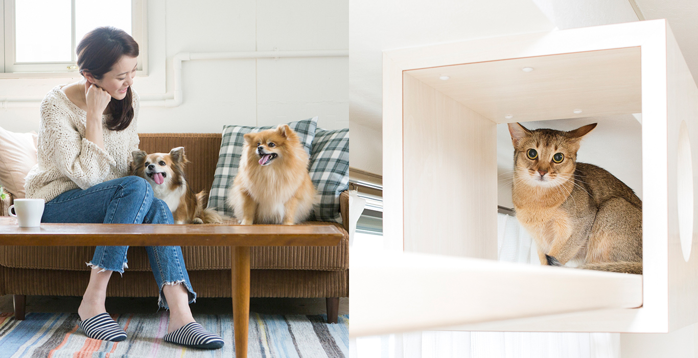 ペットオーナー検定 オンライン受験サイト